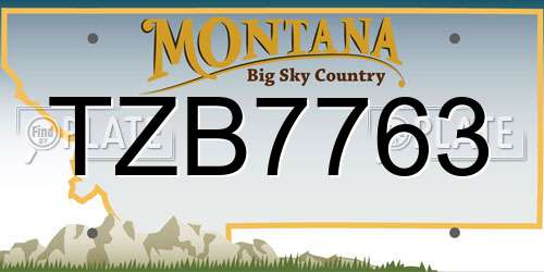 TZB7763 Montana License Plate