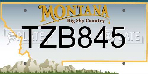 TZB845 Montana License Plate