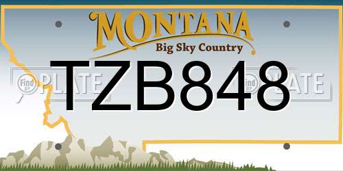 TZB848 Montana License Plate