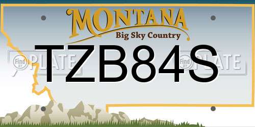 TZB84S Montana License Plate