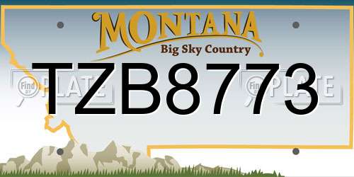TZB8773 Montana License Plate