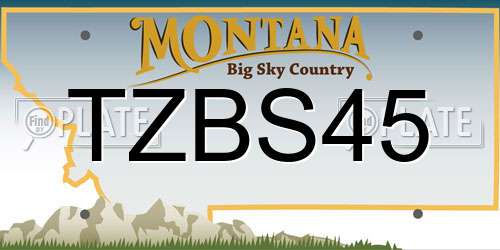 TZBS45 Montana License Plate