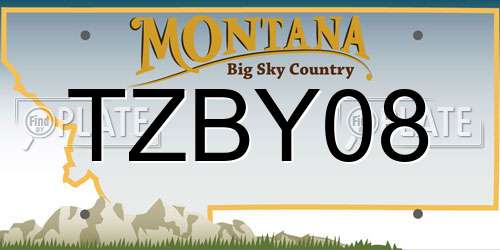 TZBY08 Montana License Plate