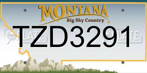 TZD3291 Montana License Plate