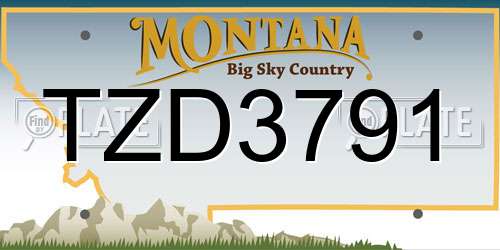 TZD3791 Montana License Plate