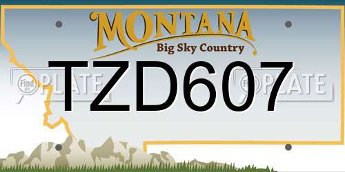 TZD607 Montana License Plate