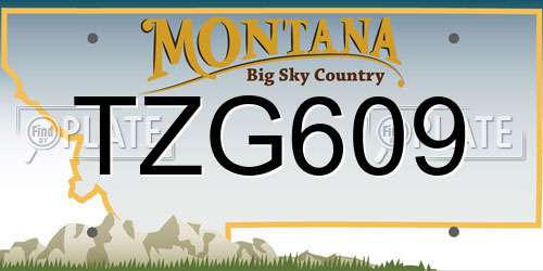 TZG609 Montana License Plate