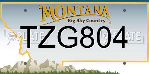 TZG804 Montana License Plate