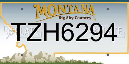 TZH6294 Montana License Plate