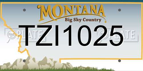 TZI1025 Montana License Plate