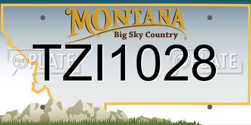 TZI1028 Montana License Plate