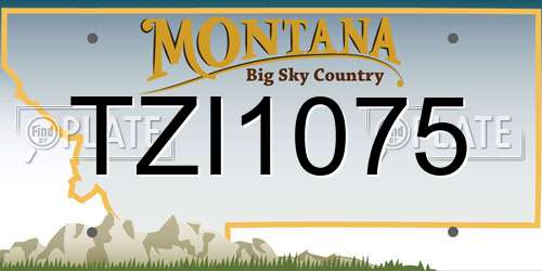 TZI1075 Montana License Plate