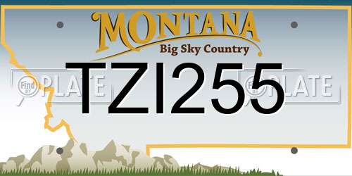 TZI255 Montana License Plate