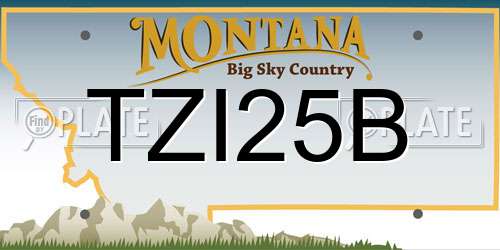 TZI25B Montana License Plate
