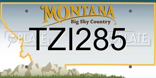 TZI285 Montana License Plate