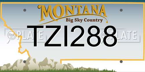 TZI288 Montana License Plate