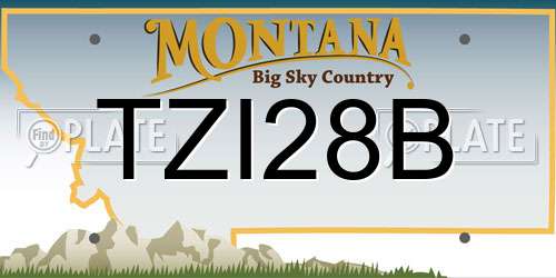 TZI28B Montana License Plate