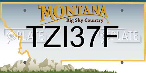 TZI37F Montana License Plate