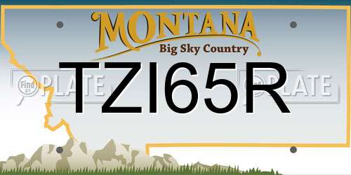 TZI65R Montana License Plate
