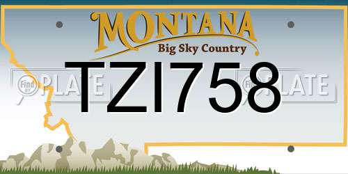 TZI758 Montana License Plate