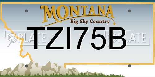 TZI75B Montana License Plate