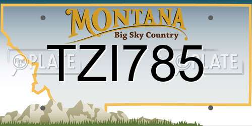 TZI785 Montana License Plate