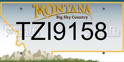 TZI9158 Montana License Plate