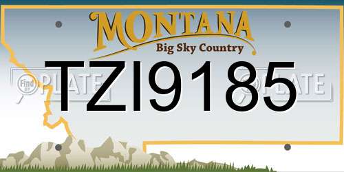 TZI9185 Montana License Plate