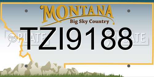 TZI9188 Montana License Plate