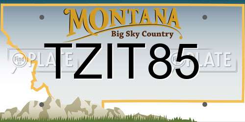 TZIT85 Montana License Plate