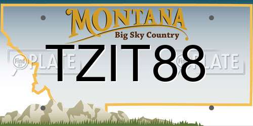 TZIT88 Montana License Plate
