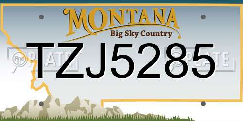 TZJ5285 Montana License Plate