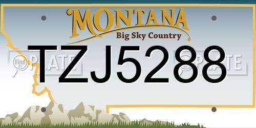 TZJ5288 Montana License Plate