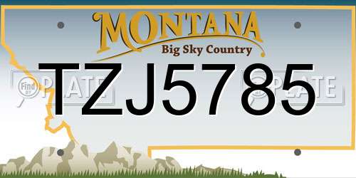 TZJ5785 Montana License Plate
