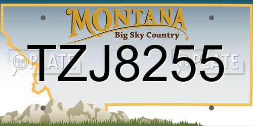 TZJ8255 Montana License Plate