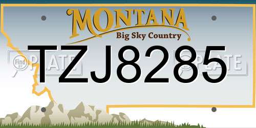 TZJ8285 Montana License Plate