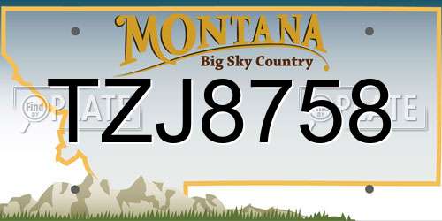 TZJ8758 Montana License Plate