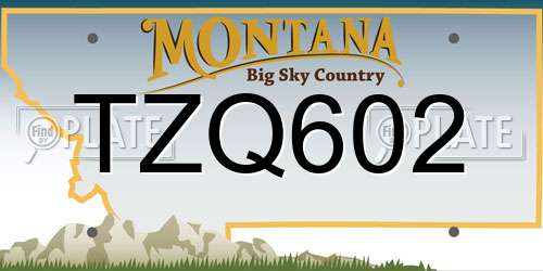 TZQ602 Montana License Plate
