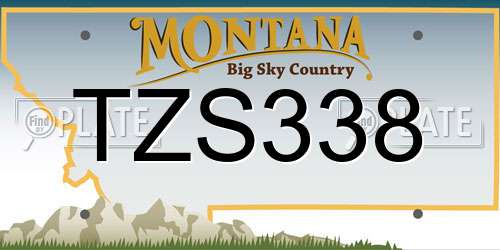 TZS338 Montana License Plate