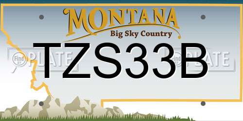 TZS33B Montana License Plate