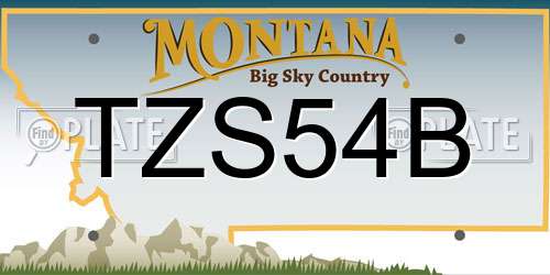 TZS54B Montana License Plate