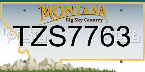 TZS7763 Montana License Plate
