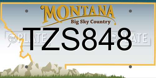 TZS848 Montana License Plate