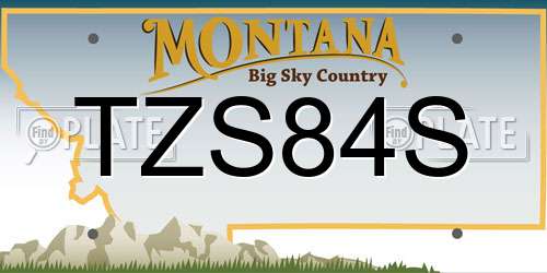 TZS84S Montana License Plate