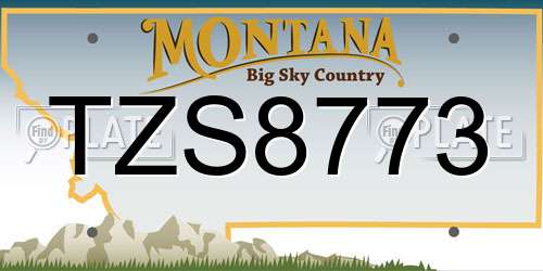 TZS8773 Montana License Plate