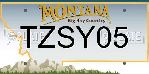 TZSY05 Montana License Plate