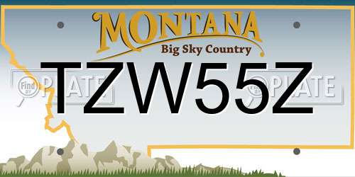 TZW55Z Montana License Plate