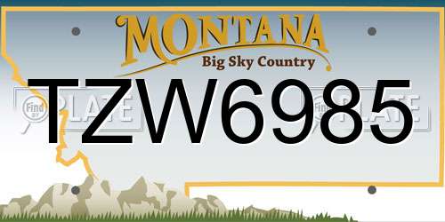 TZW6985 Montana License Plate