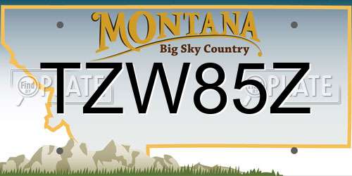 TZW85Z Montana License Plate