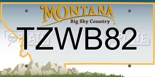 TZWB82 Montana License Plate